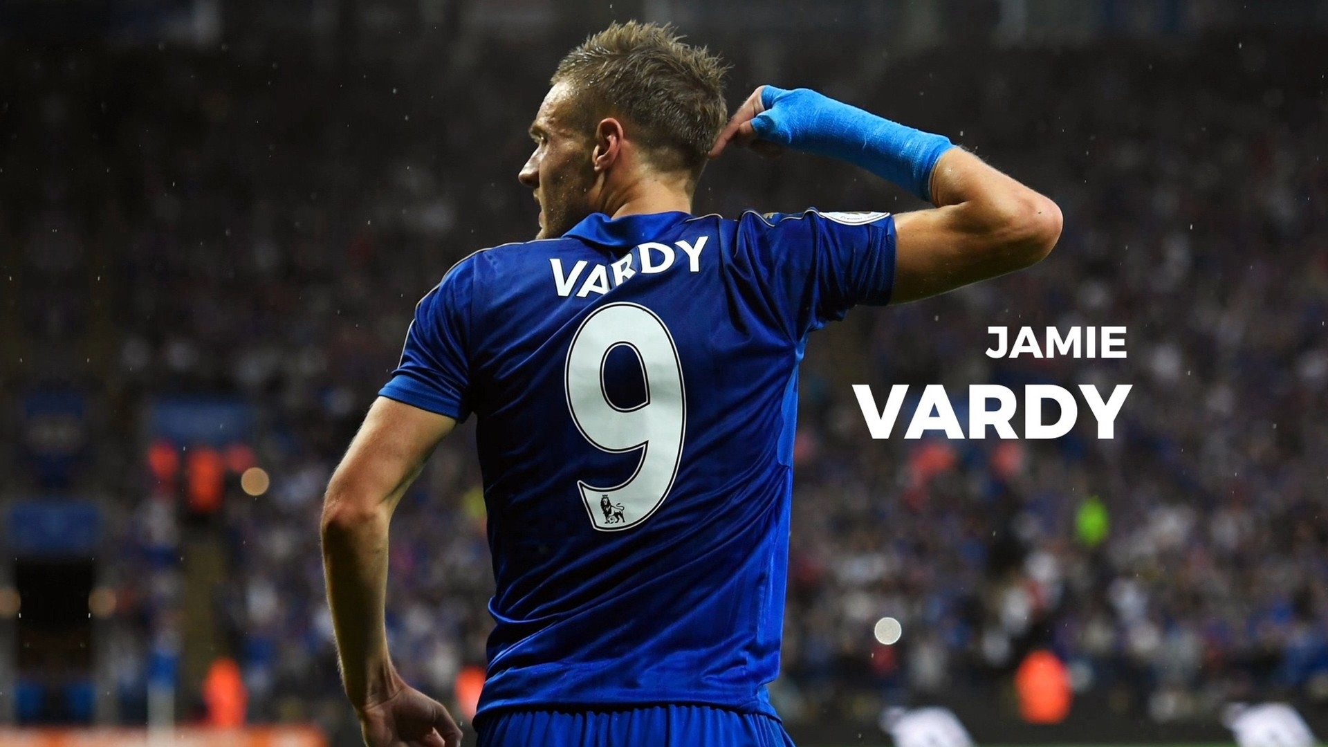 球迷们将有 球迷们将有